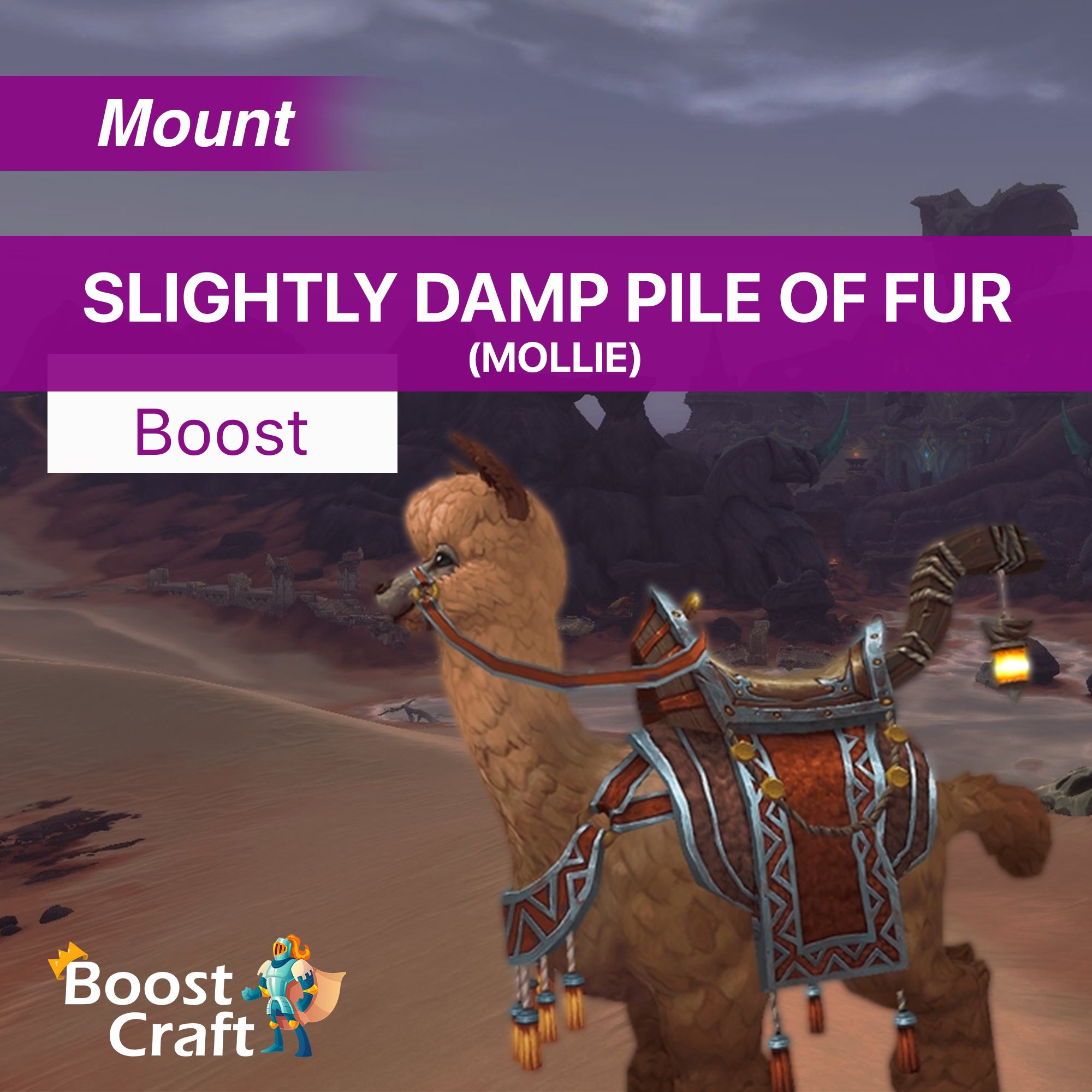 Slightly Damp Pile of Fur (Mollie) Mount Farm – Service